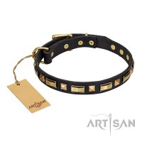 "Golden Elegance" Handmade FDT Artisan Leather Dog Collar with Brass-Plated Studs