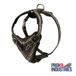 Painted Leather Dog Harness for Walking and Training