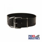 Extra Wide Leather Dog Collar for Professional Training