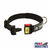 All Weather Nylon Dog Collar with ID Patches