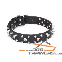 FDT Artisan 'Jolly Roger's Spikes' 1 1/2 Inch (40 mm) Leather Dog Collar with Small Skulls and 2 Rows of Spikes