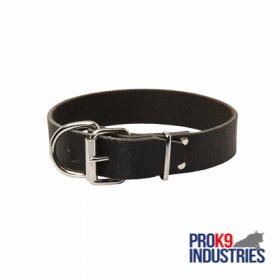 Wide Leather Dog Collar for Training and Walking