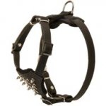 Durable Spiked Leather Puppy Dog Harness