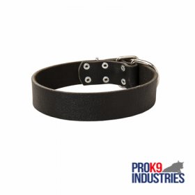 Wide Leather Dog Collar for Training and Walking
