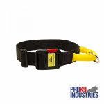 Gorgeous Wide Nylon Dog Collar With Quick Release Buckle and Handle