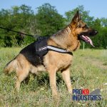 Nylon Dog Harness with Reflective Strap for Training, Walking, Police Service, SAR and More