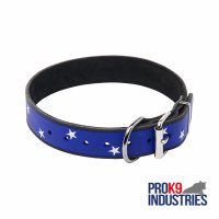 Dog Leather Collar With Handcrafted American Flag Painting
