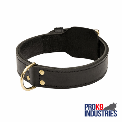 Leather collar Flamingo Patti brown - Collars for dogs - Electric-Collars .com