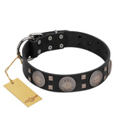 "Sun in Shining" Modern FDT Artisan Black Leather Dog Collar with Studs and Stars