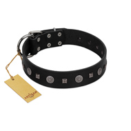 "Mr. Elegance" Designer FDT Artisan Black Leather Dog Collar with Silver-Like Studs
