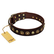 "Street Fashion" FDT Artisan Brown Leather Dog Collar Adorned with Circles and Skulls