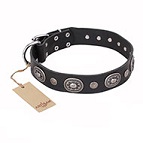 "Mr De-Luxe" FDT Artisan Black Leather Dog Collar with Silver-like Plates