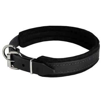 Padded Leather Dog Collar Adjustable