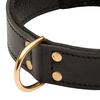 Brass D-ring Stitched to Leather Dog Collar