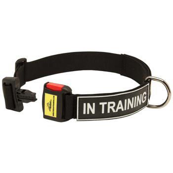 Nylon Dog Collar for Dog Police Training