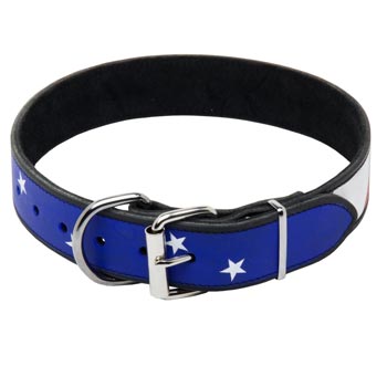 Dog Leather Collar With American  Flag Painting