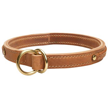  2 Ply Leather Choke Collar for Dog