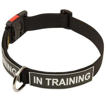 Nylon Dog Collar With ID Patches