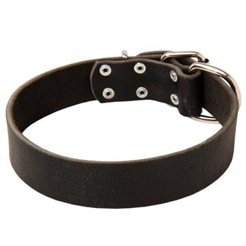 Unbelievable Dog Strict Style Leather Dog  Collar
