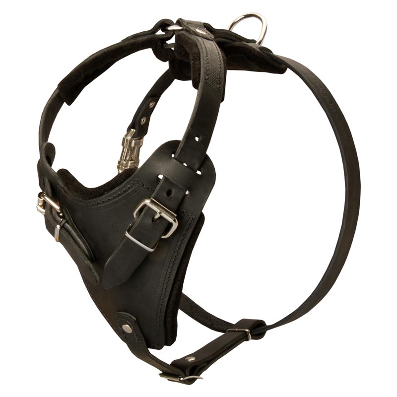 Protection Leather Dog Harness for Attack / Agitation Dog Training
