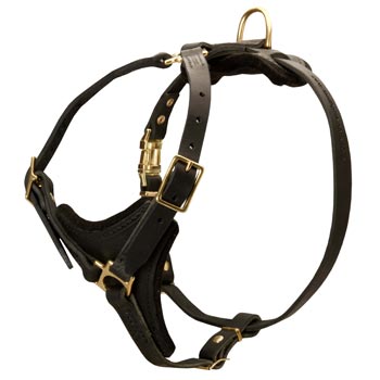 Dog Harness Black Leather with Padded Chest Plate for Training