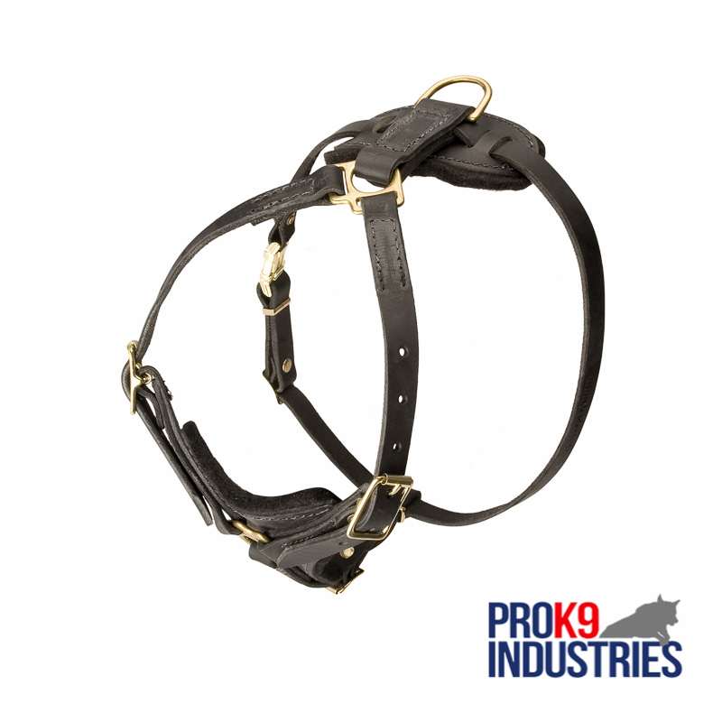 Tracking Leather Dog Harness With Y-Chest Plate