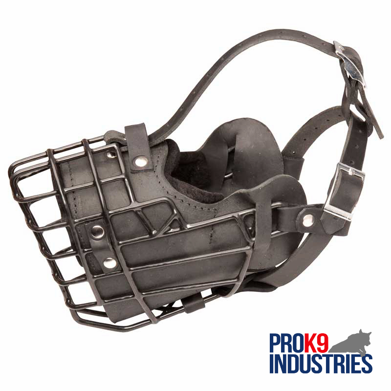 Exclusive North Military operational Muzzle