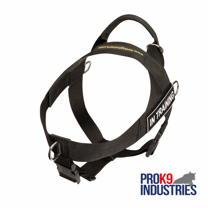 Dog Harness Nylon with Patches