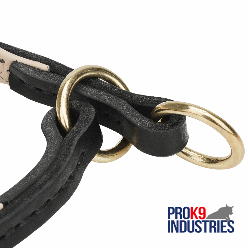 Strong Leather Dog Choke Collar for Quality Control over Your Pet