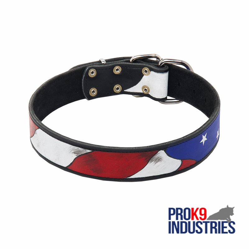 Dog Leather Collar With Handcrafted American Flag Painting