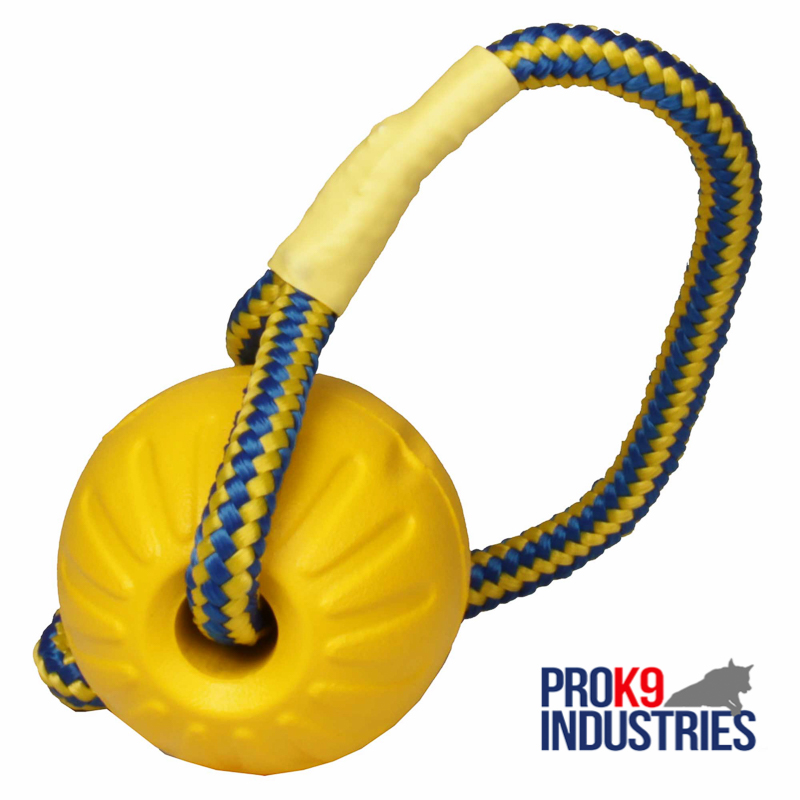 https://www.prok9industries.com/images/large/Foam-ball-on-a-rope-lightweight-TT19_01_LRG.jpg