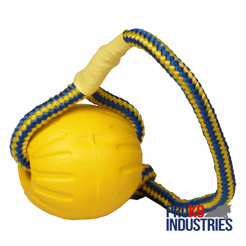 https://www.prok9industries.com/images/large/Foam-ball-on-a-rope-lightweight-TT19_02_LRG.jpg