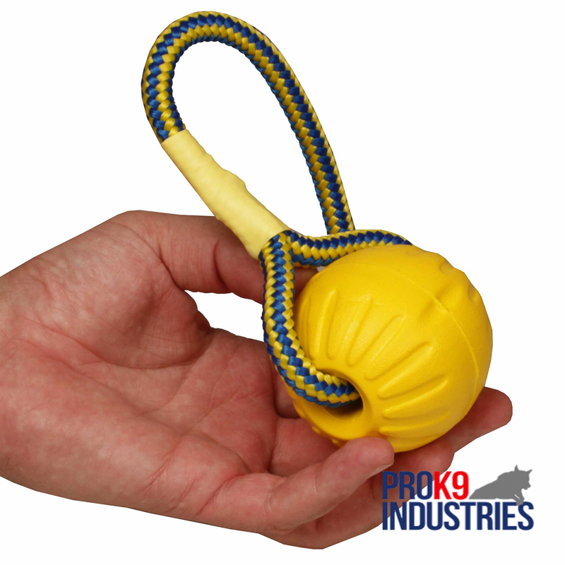 https://www.prok9industries.com/images/large/Foam-ball-on-a-rope-lightweight-TT19_03_LRG.jpg