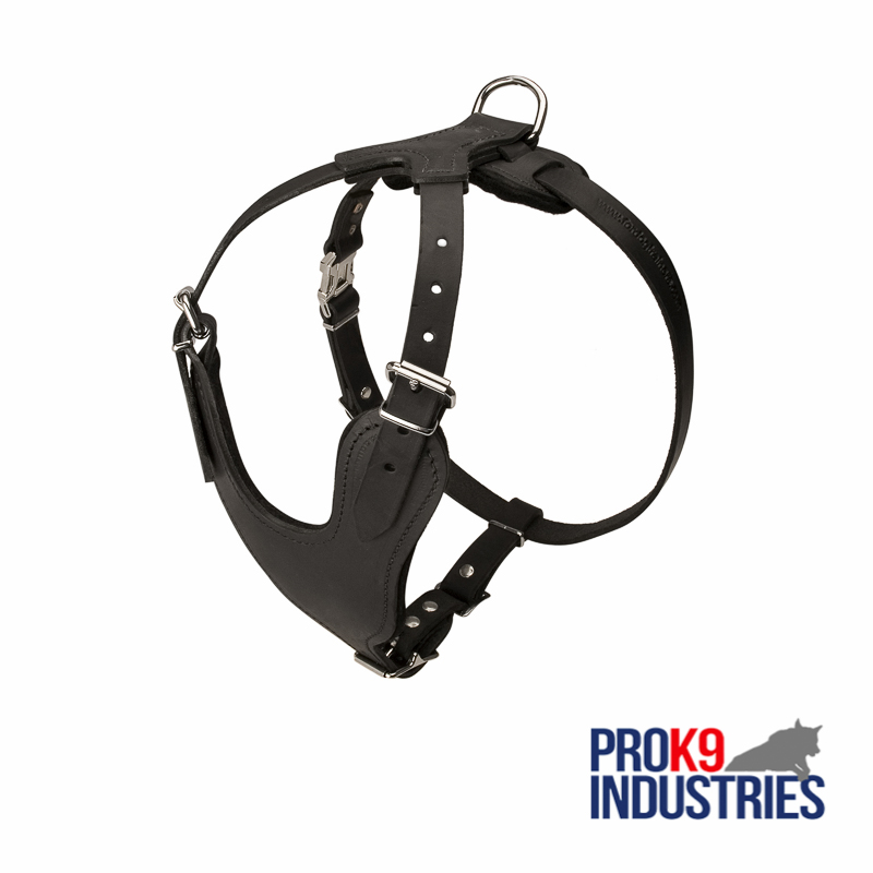 Adjustable Leather Dog Harness for Attack / Agitation Training