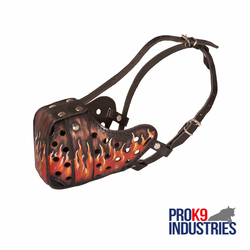 Burning Fire Hand Painted Leather Dog Muzzle for Attack Training