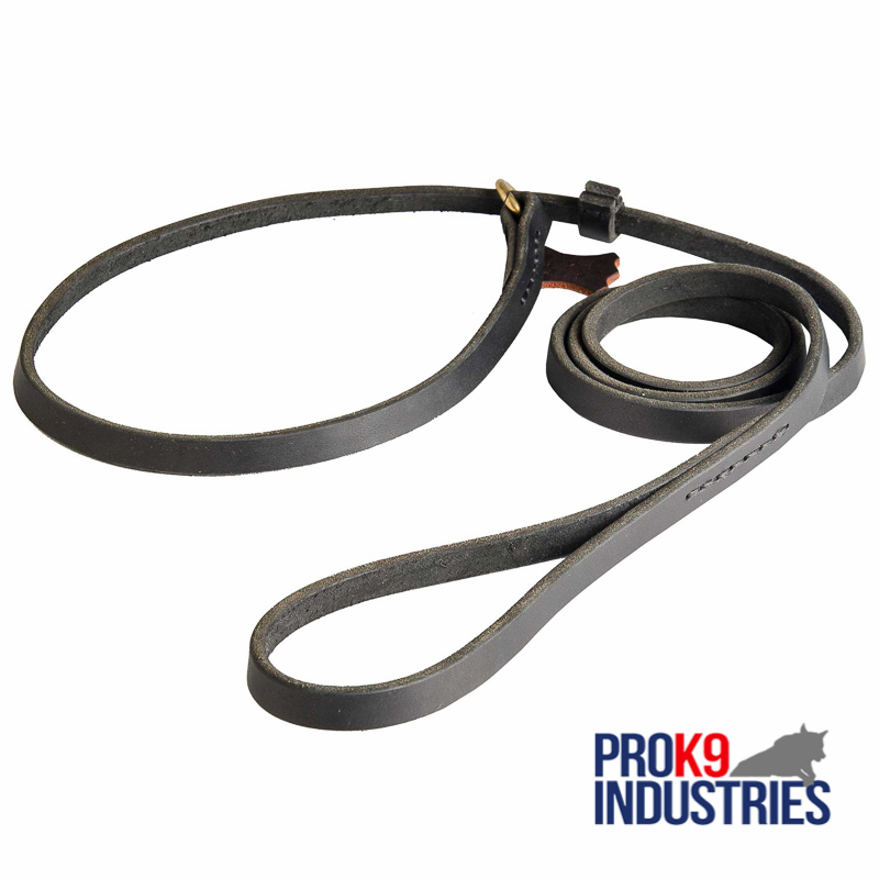 Leather Dog Choke Collar and Leash Combo for Profssional Training and Walking