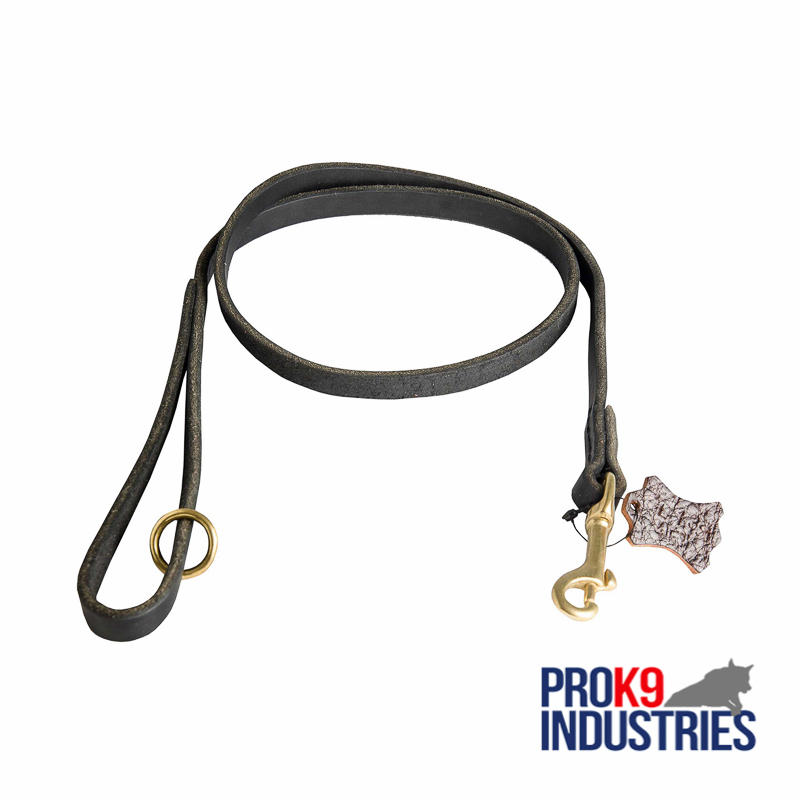 Handcrafted Leather Dog Leash for Walking and Tracking