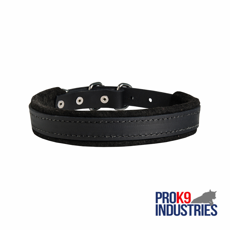 Padded Leather Dog Collar 25 mm for Dog Training