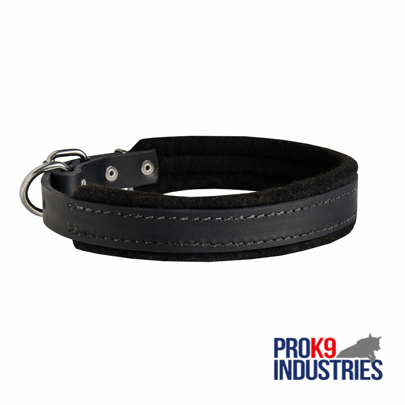 Padded Leather Dog Collar 25 mm for Dog Training