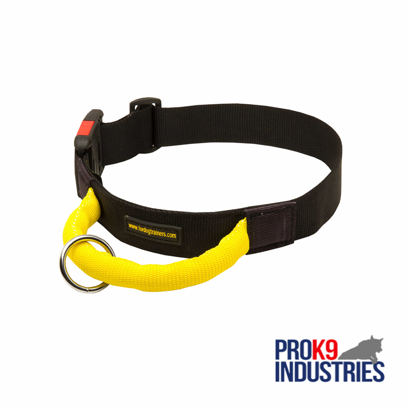 Gorgeous Wide Nylon Dog Collar With Quick Release Buckle and Handle