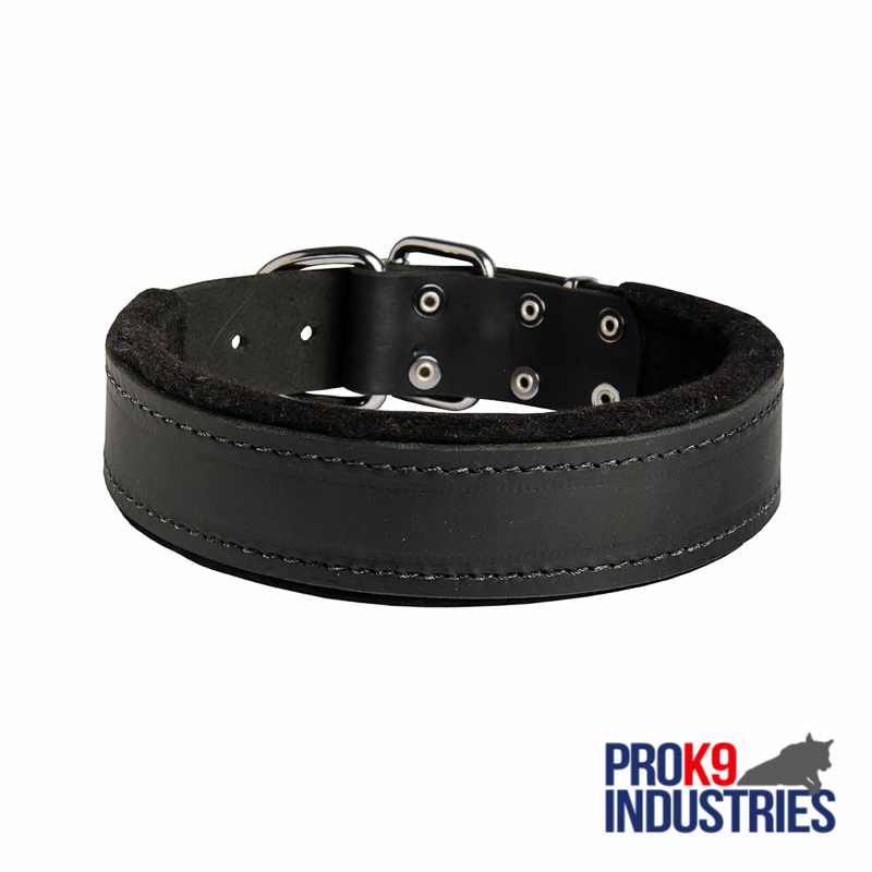 Dog Durable Padded Leather Collar 40 mm