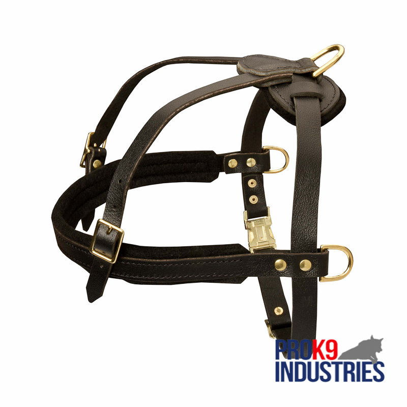 Leather Dog Harness for Tracking and Pulling