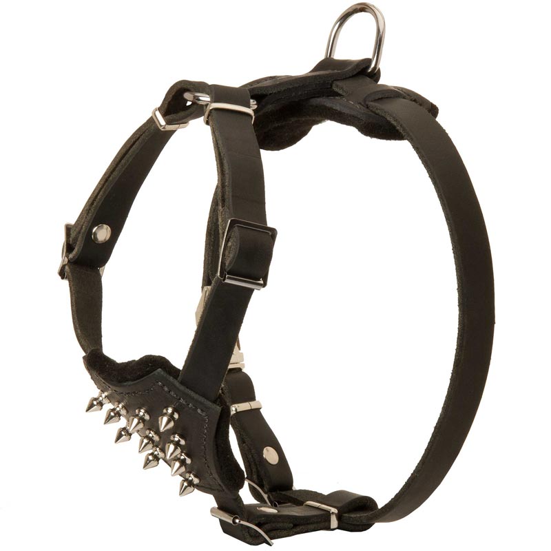 Buy Small Leather Puppy Harness, Dog Training
