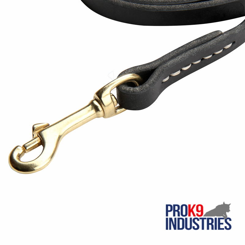 High Grade Fashion Leather Dog Leash with Padded Handle