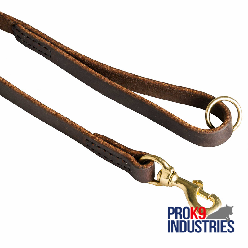Stitched Leather Dog Leash for Training and Walking