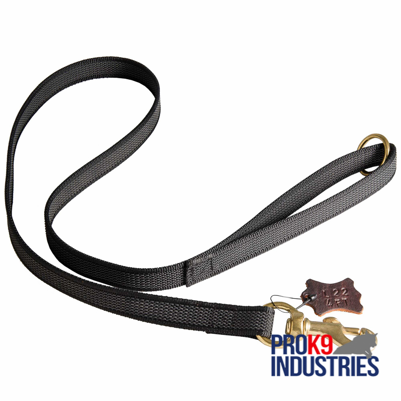 All Weather Nylon Dog Leash for Walking and Training Activities