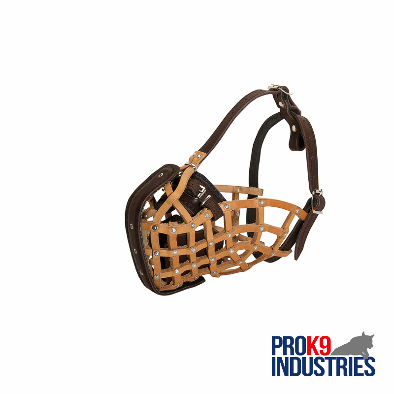 Basket-Like Dog Muzzle Leather