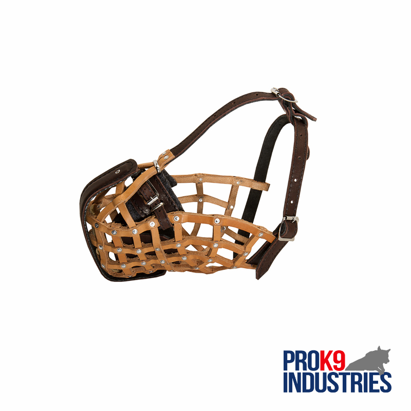 Basket-Like Dog Muzzle Leather
