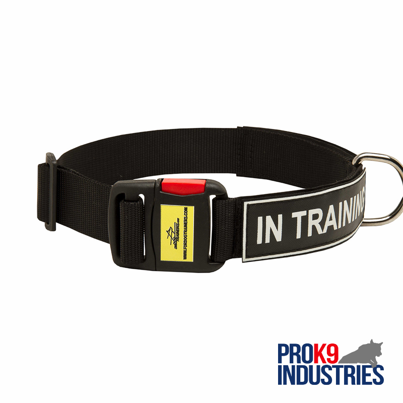 All Weather Nylon Dog Collar with ID Patches