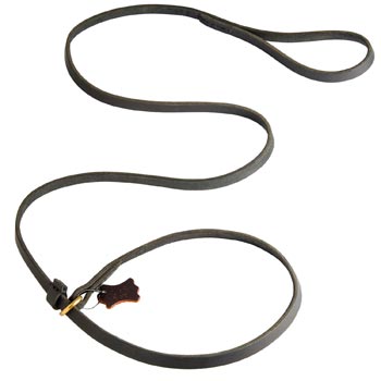 Best Choke Leather Dog Collar and Leash